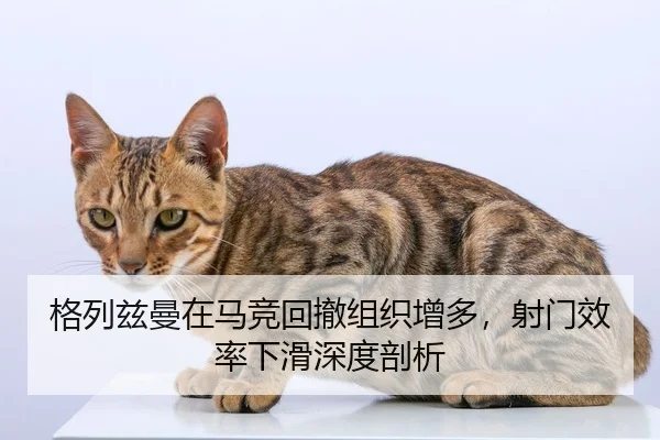 ge-lie-zi-man-zai-ma-jing-hui-che-zu-zhi-zeng-duo-she-men-xiao-lv-xia-hua-shen-du-pou-xi-2-325.jpg