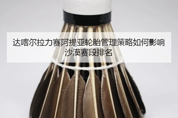 da-ka-er-la-li-sai-a-ti-ya-lun-tai-guan-li-ce-lve-ru-he-ying-xiang-sha-mo-sai-duan-pai-ming-1-915.jpg